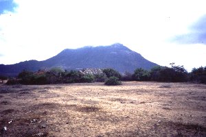マサイ族のメセラニ村